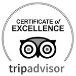This image shows a "Certificate of Excellence" from TripAdvisor, featuring the company's owl logo and name below. logo on footer section.