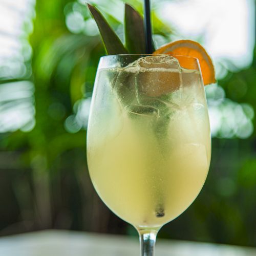 A glass of pale yellow iced drink with a citrus slice, on a table, with lush green plants blurred in the background.