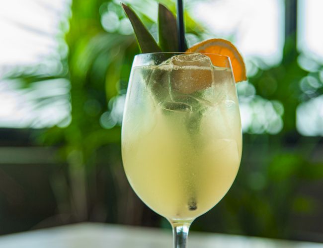 A glass of pale yellow iced drink with a citrus slice, on a table, with lush green plants blurred in the background.