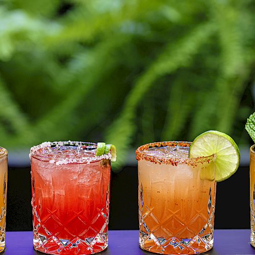 Four colorful cocktails are displayed in crystal glasses, each garnished with different fruits and herbs, set against a lush green background.