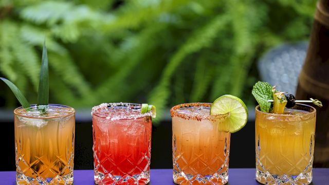 Four colorful cocktails are displayed in crystal glasses, each garnished with different fruits and herbs, set against a lush green background.