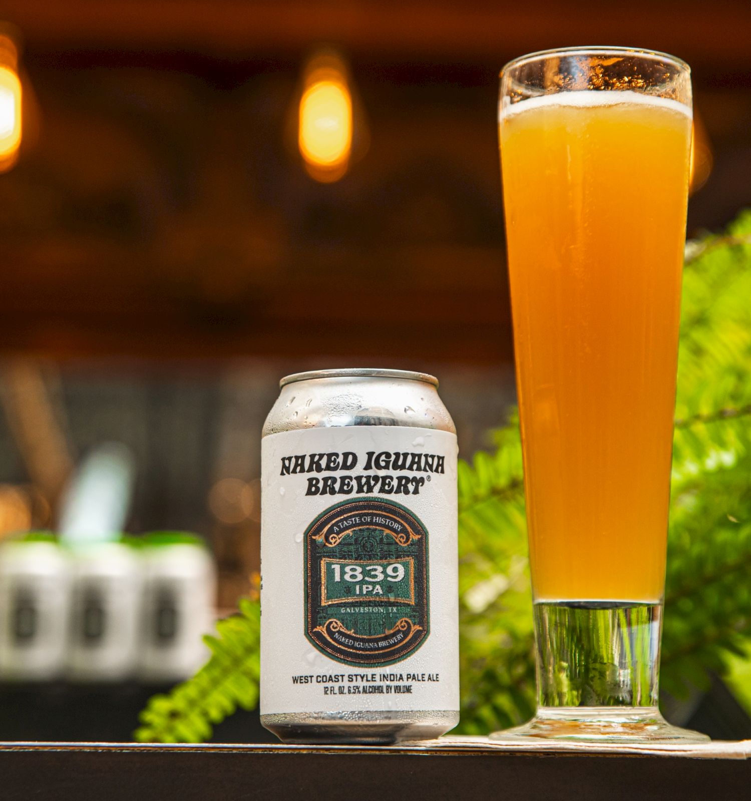A hazy amber IPA in a tall glass beside a Naked Iguana Brewery can, with blurred greenery and bar lights behind it.